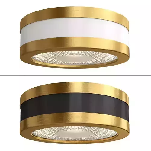 Spot Light 3D model