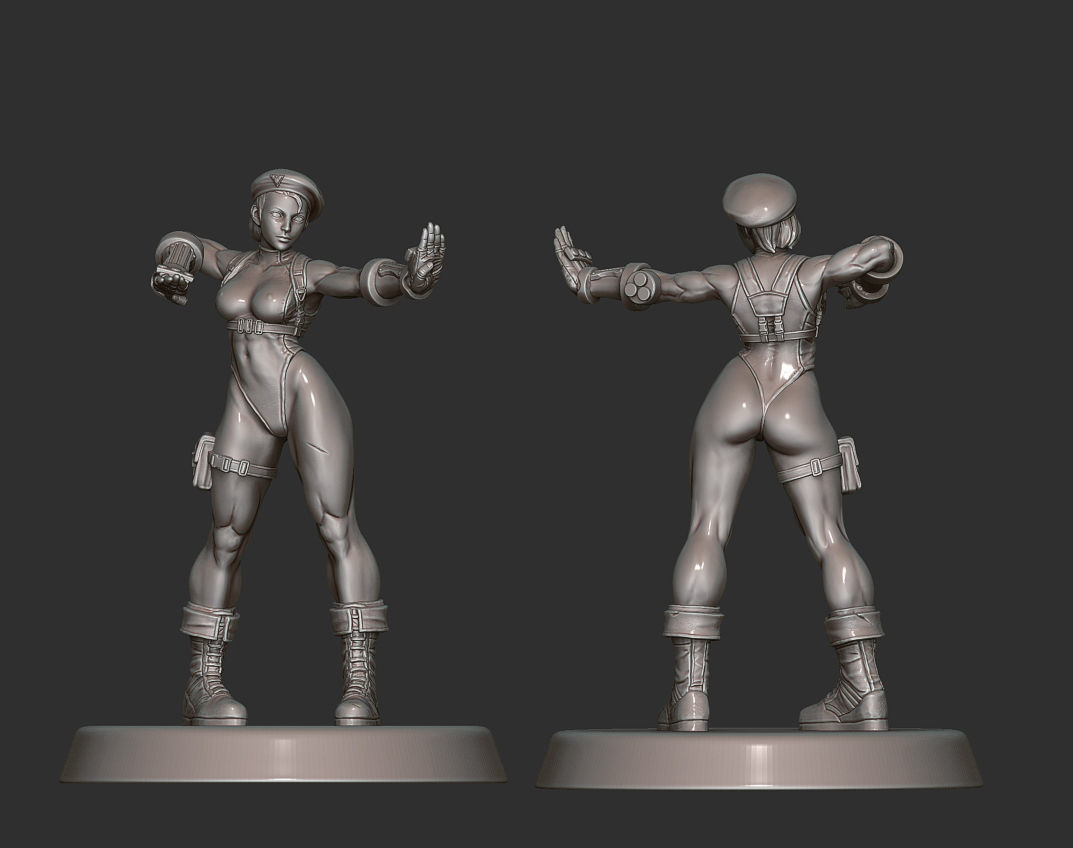 Street Fighter Pack - 11 Characters 3D print model_5