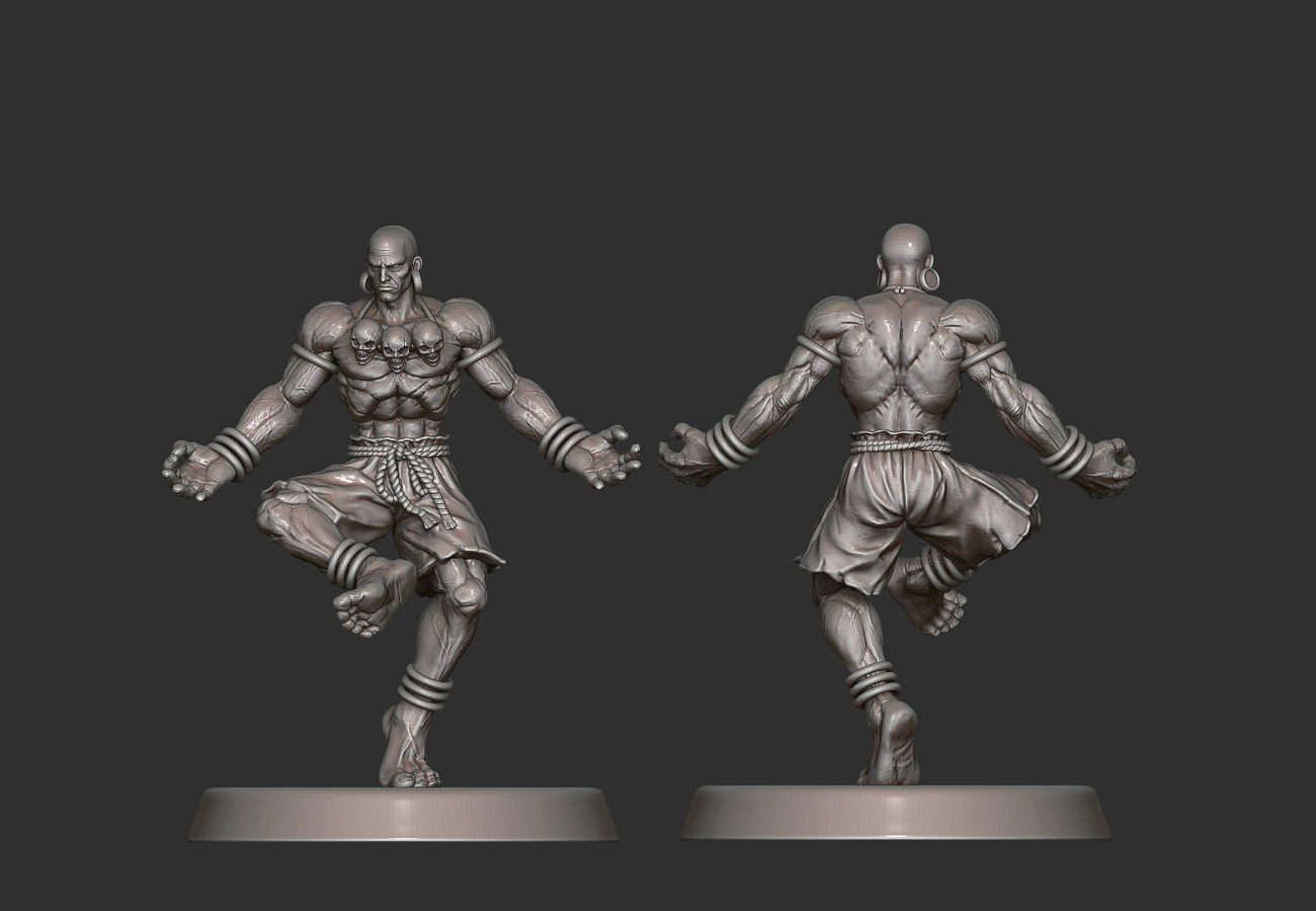 Street Fighter Pack - 11 Characters 3D print model_9