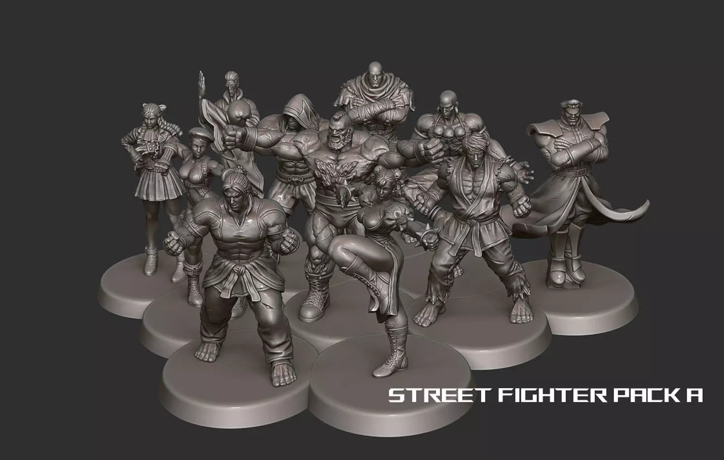 Street Fighter Pack - 11 Characters 3D print model_0