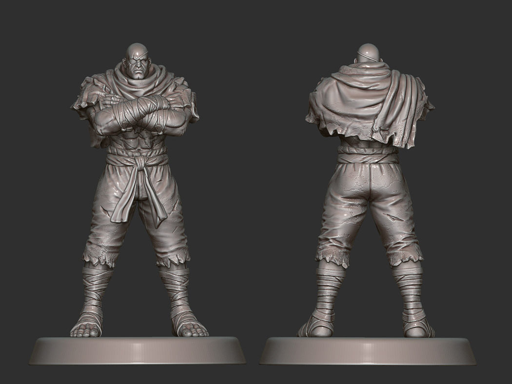 Street Fighter Pack - 11 Characters 3D print model_4