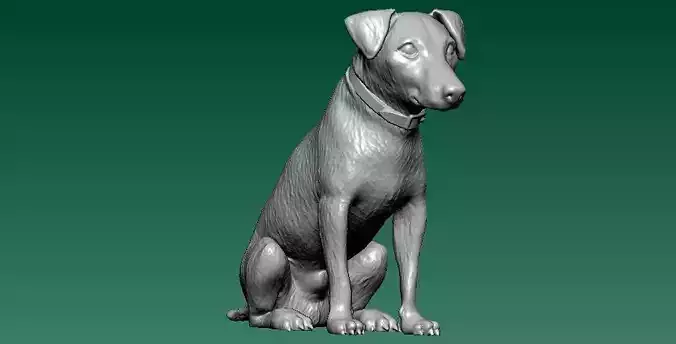 Dog wearing - 3D printed collar