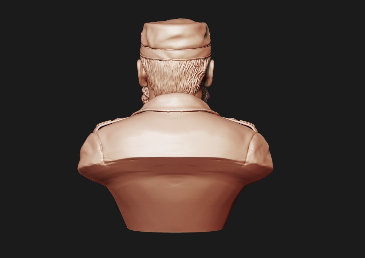 Fidel Castro Bust 3D print model_20