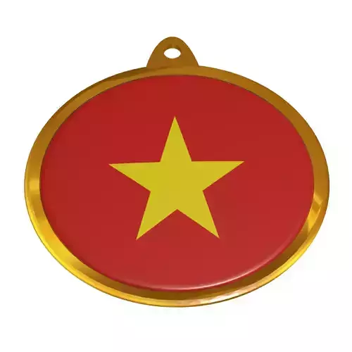 Vietnam flag medal badge