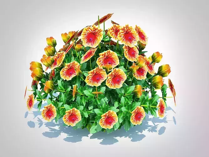 Plant  Chrysanthemum - Hardy Mum rust 3D model