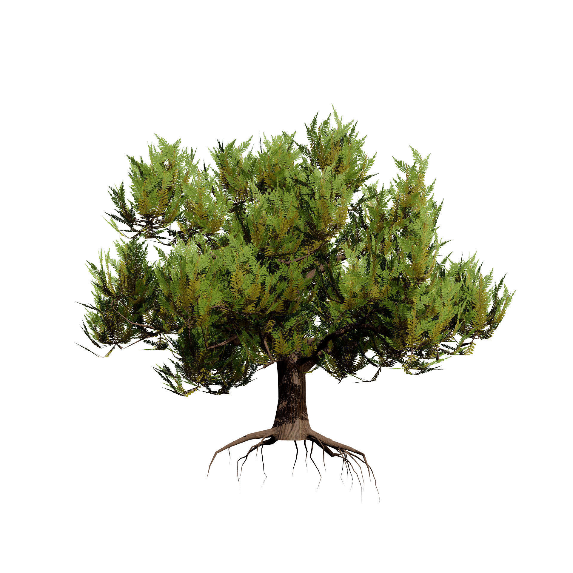 Pine Tree Pack Low-poly 3D model_6