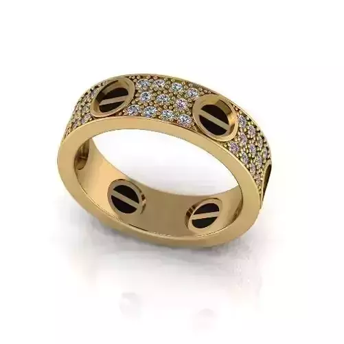 Bolt ring Model 6461