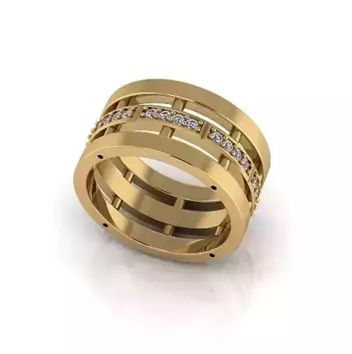 Ring Model 6460
