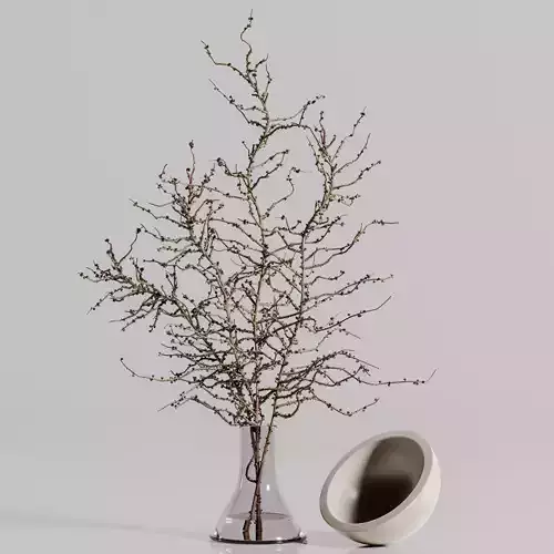 plants bouquet vase 38