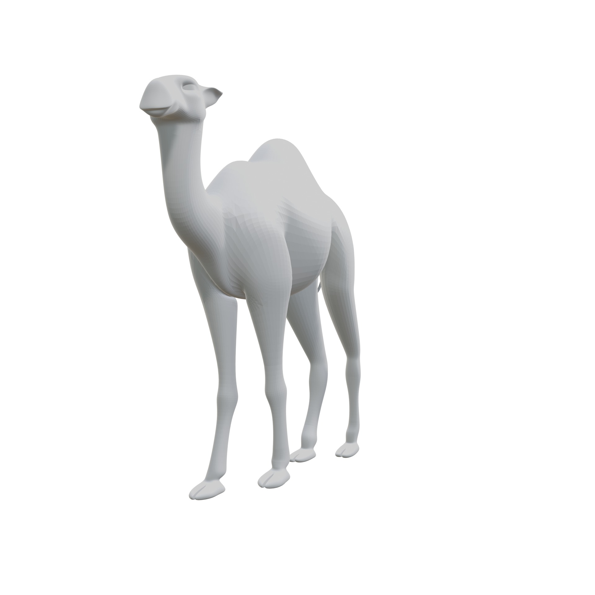 Dromedary 3D print model_7