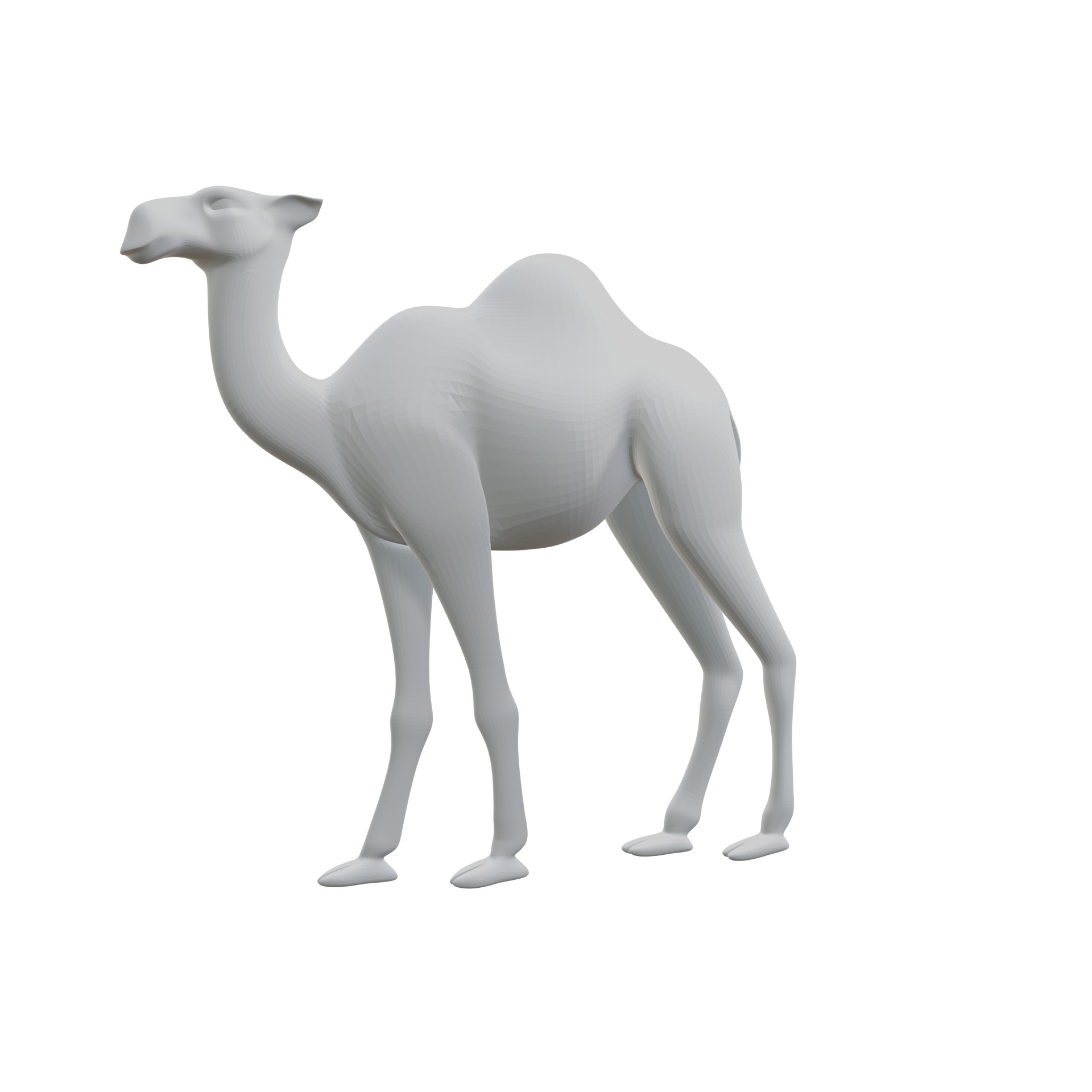 Dromedary 3D print model_6
