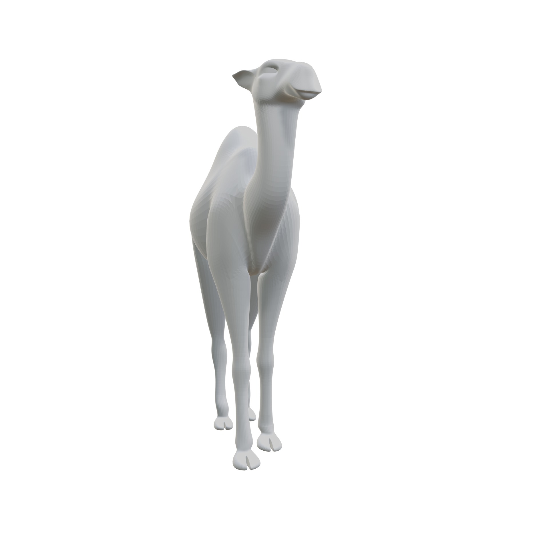 Dromedary 3D print model_8