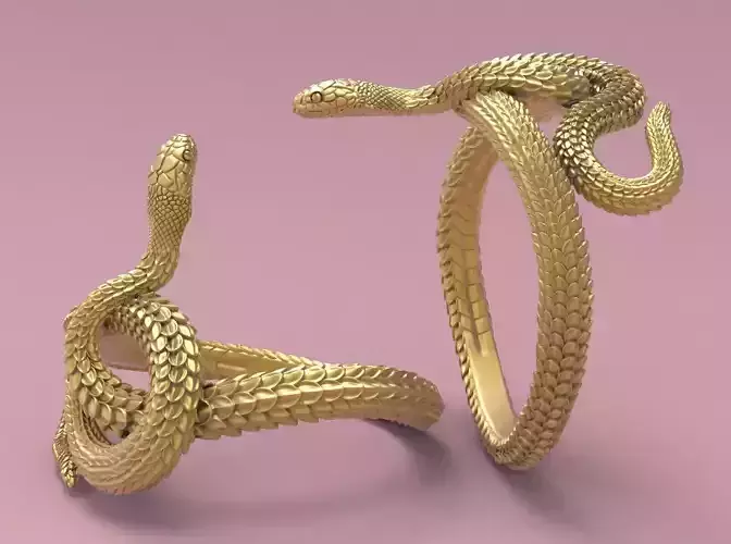 The Snake Ring