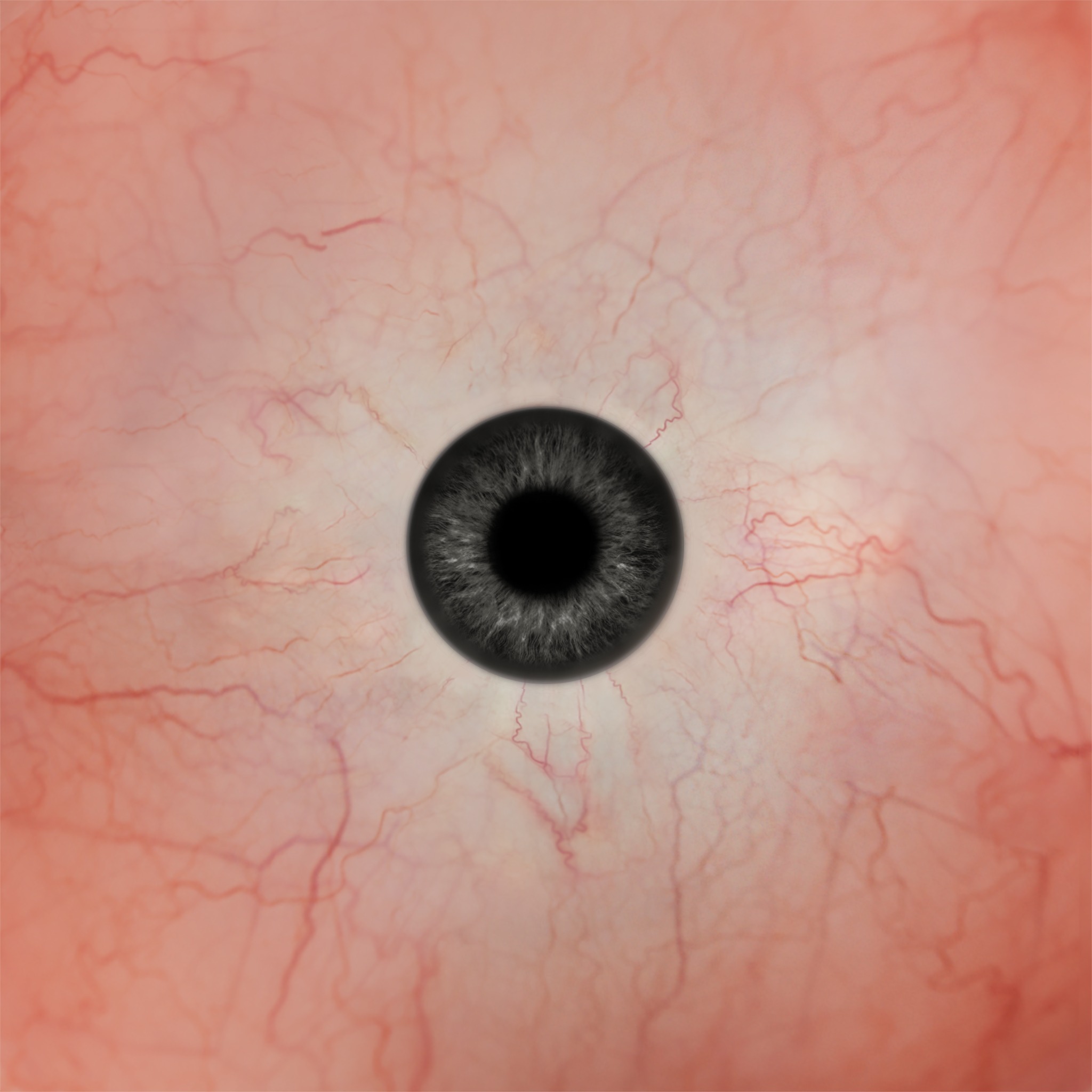 SANTA CLAUS RIGGED Low-poly 3D model_35