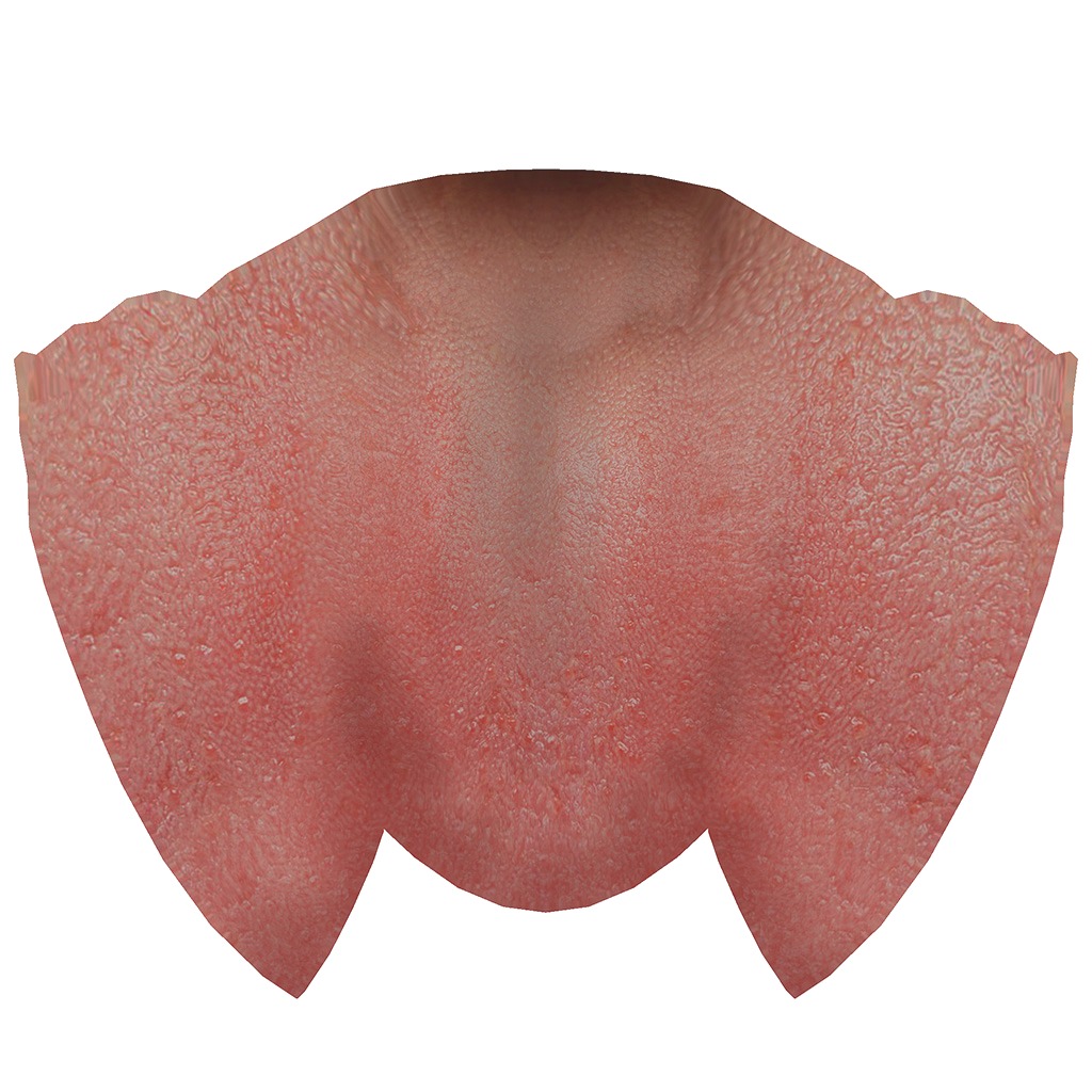 SANTA CLAUS RIGGED Low-poly 3D model_27