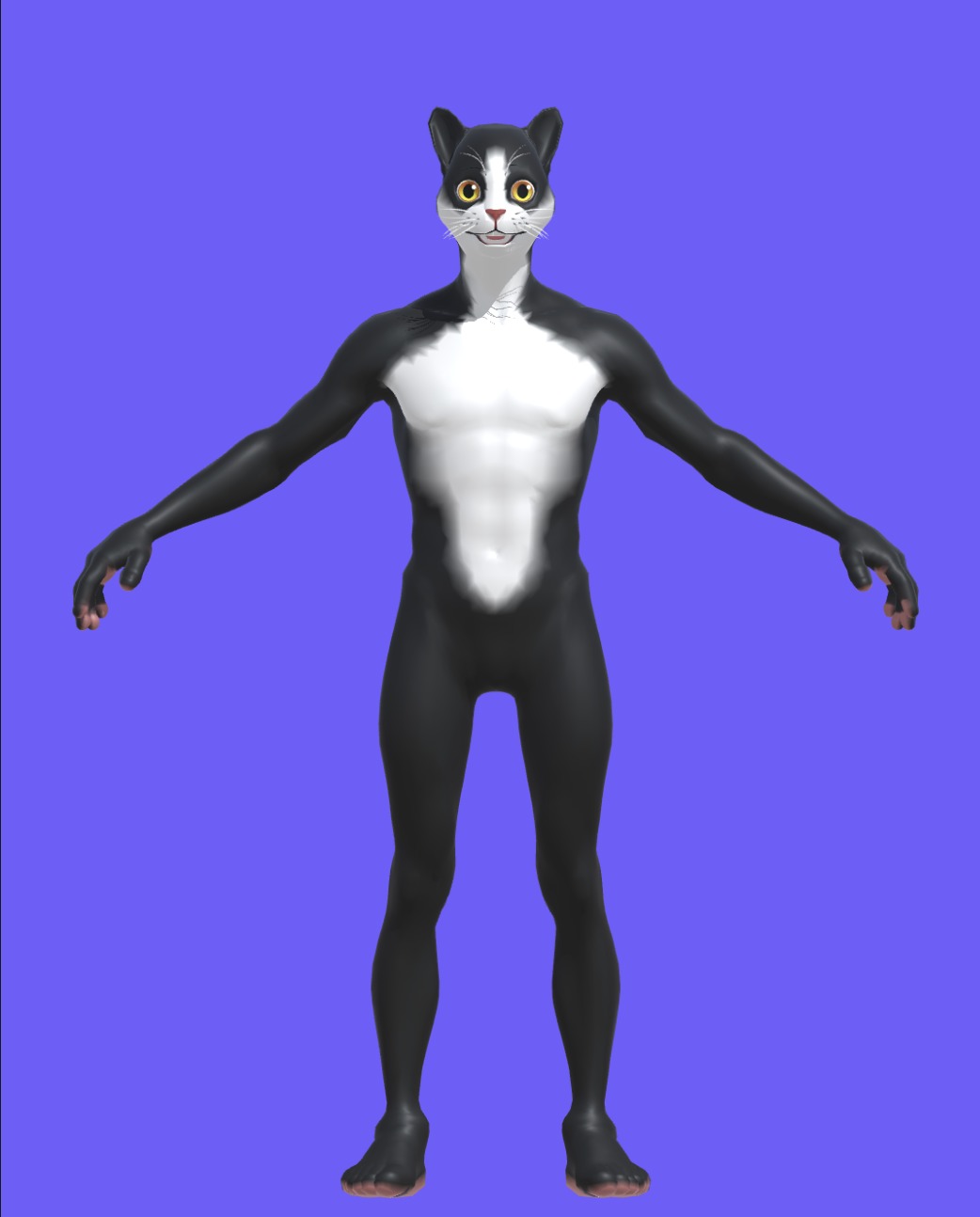 Cat Character  Low-poly 3D model_1