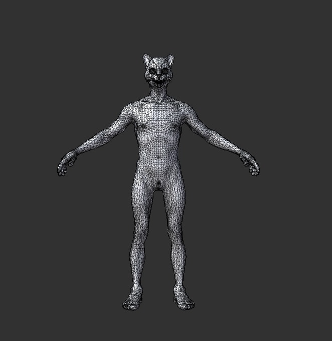 Cat Character  Low-poly 3D model_6