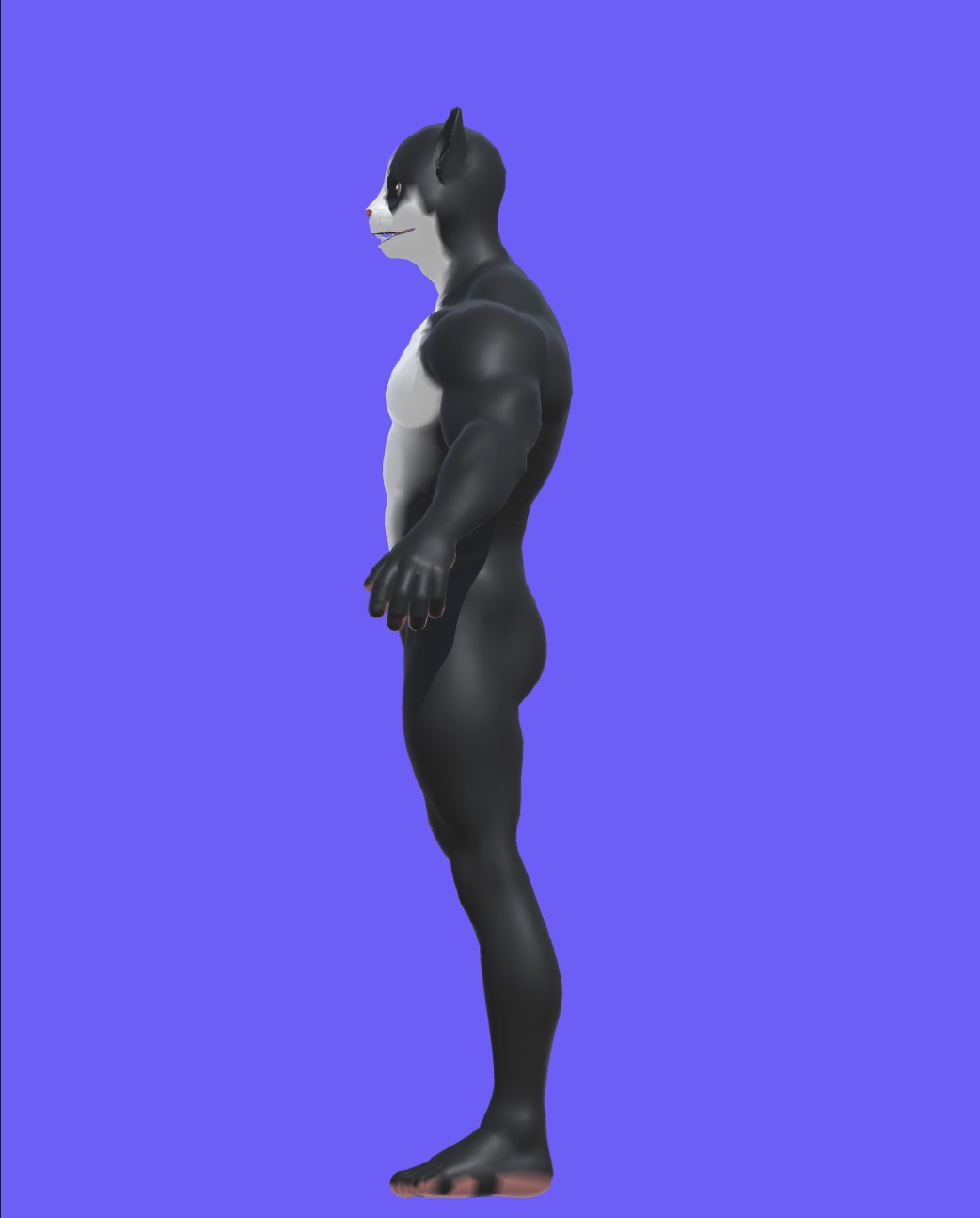 Cat Character  Low-poly 3D model_3