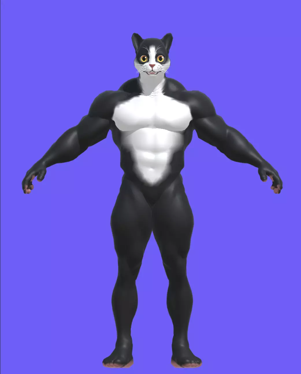 Cat Character  Low-poly 3D model_0