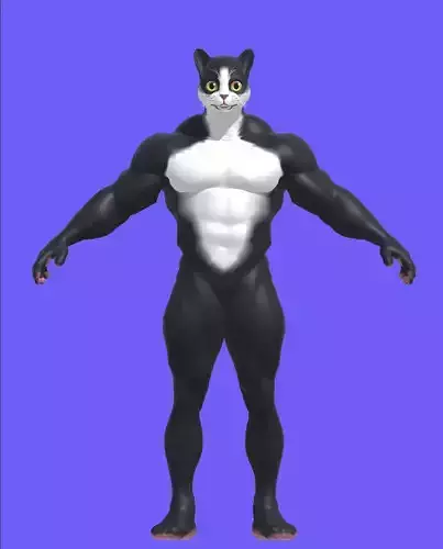 Cat Character  Low-poly 3D model