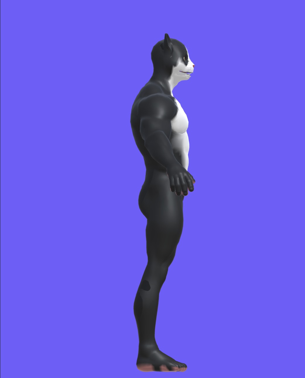 Cat Character  Low-poly 3D model_2