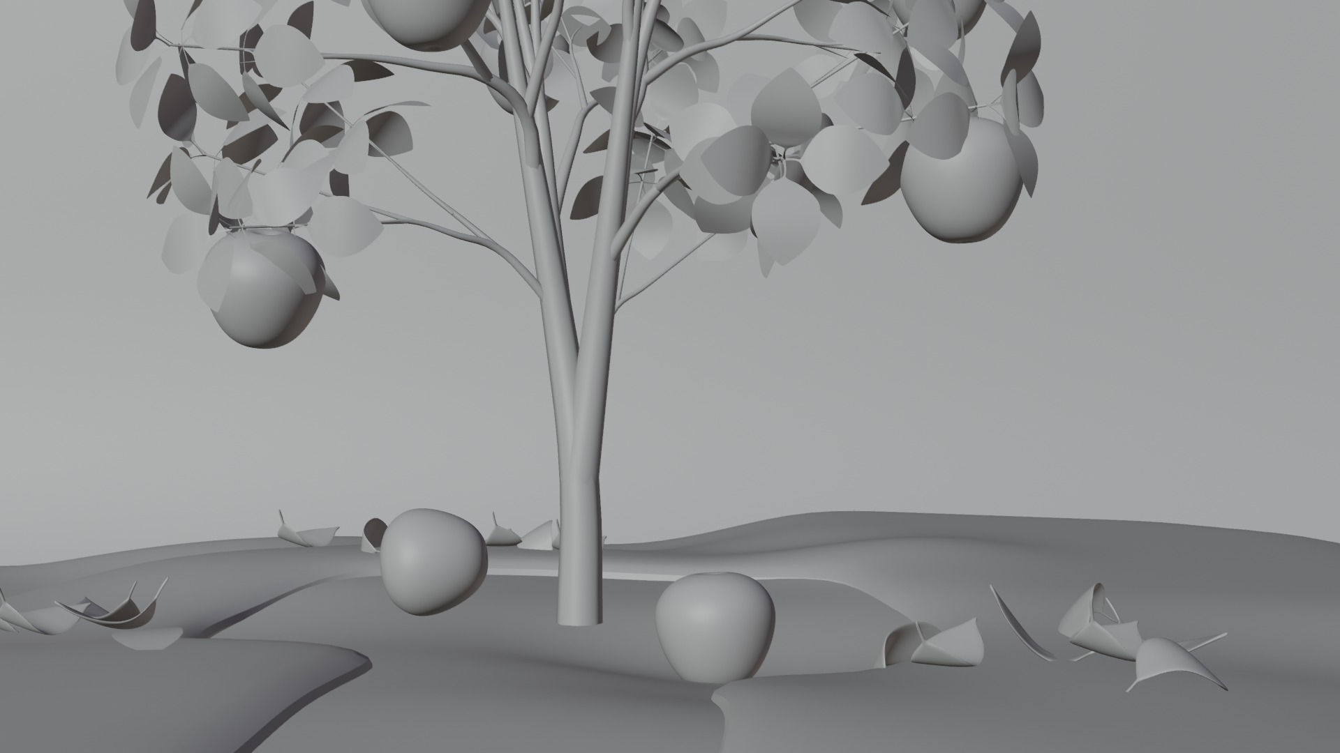 Apple Tree 3D model_4