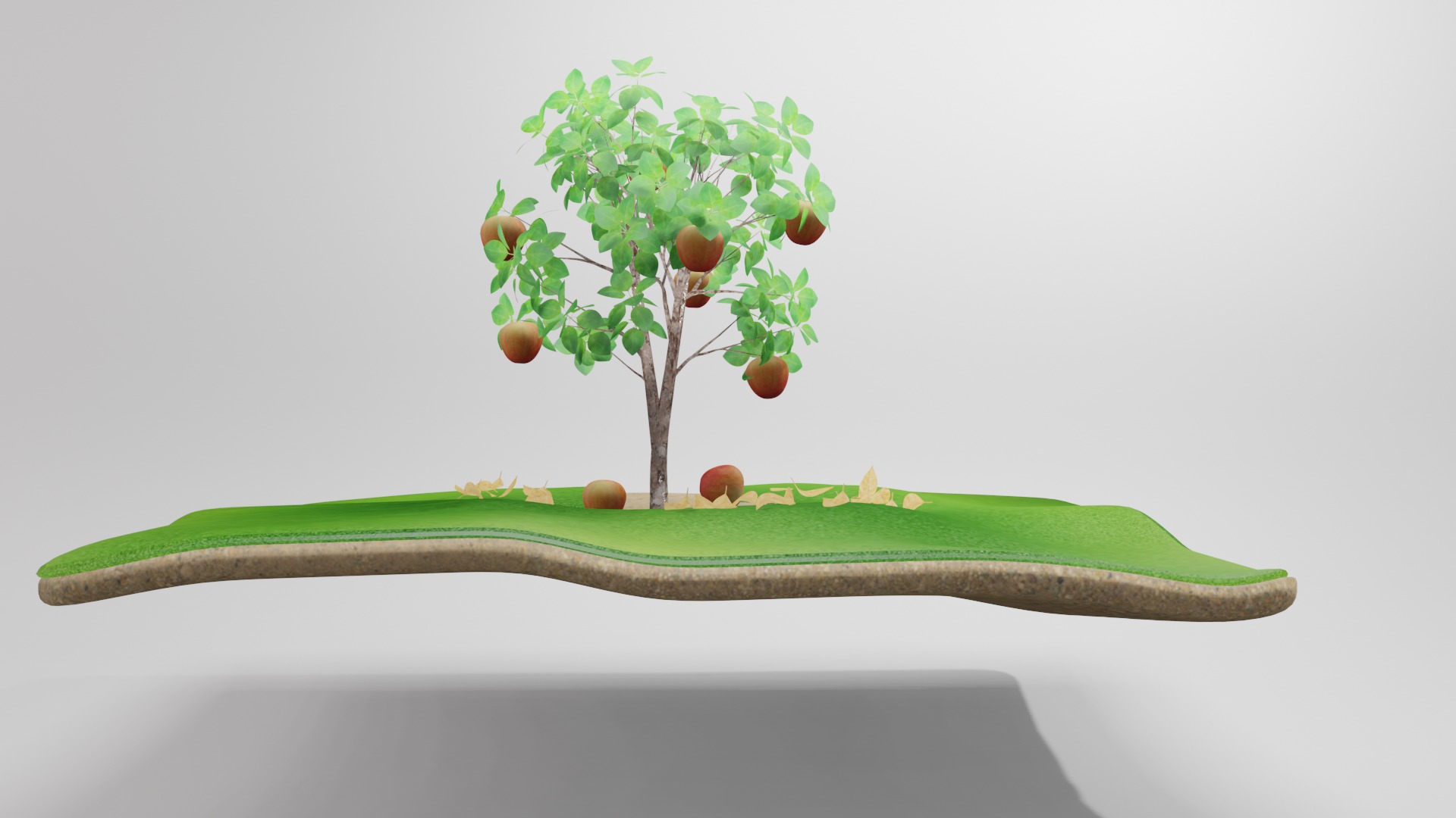 Apple Tree 3D model_2