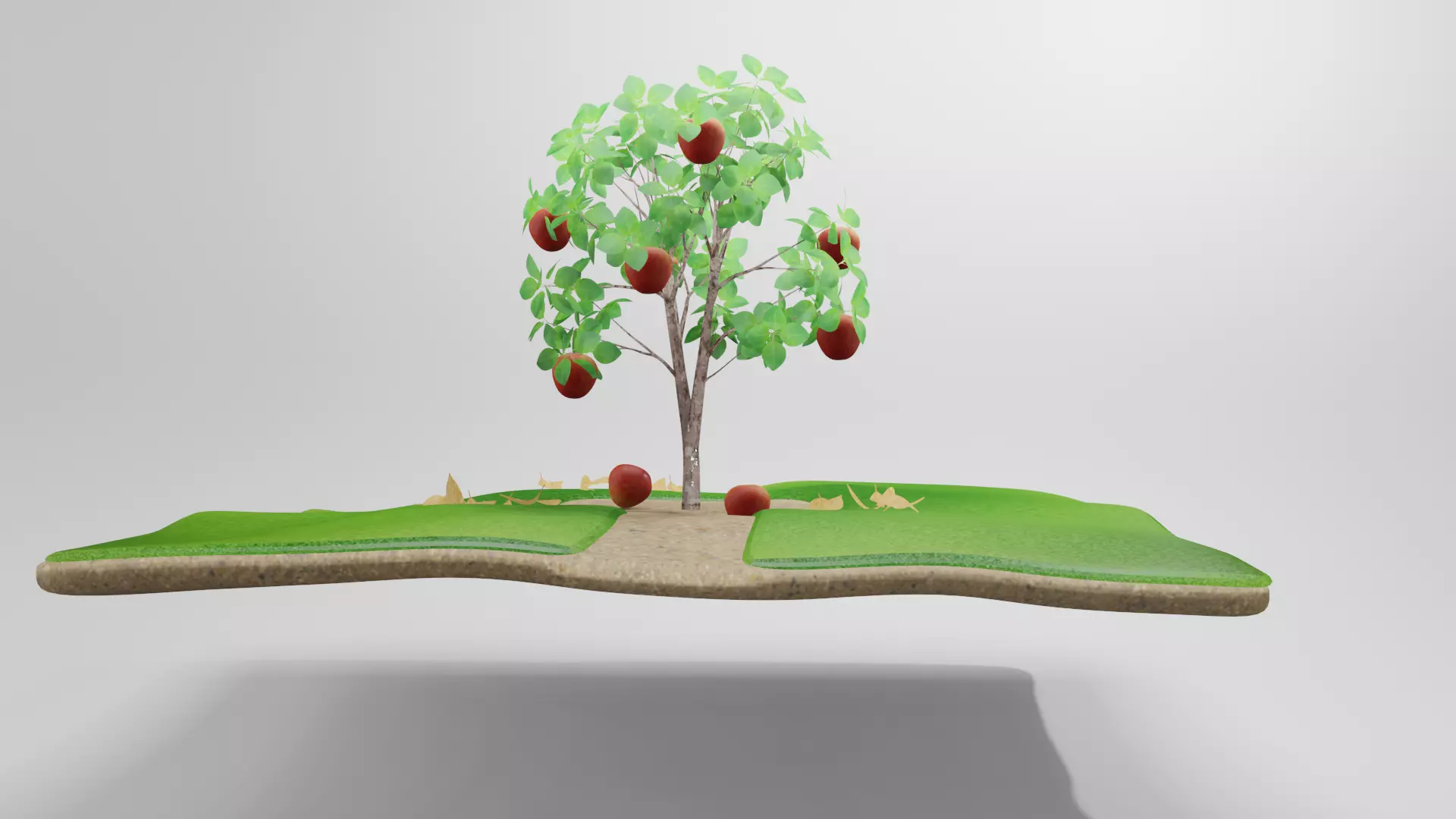Apple Tree 3D model_0