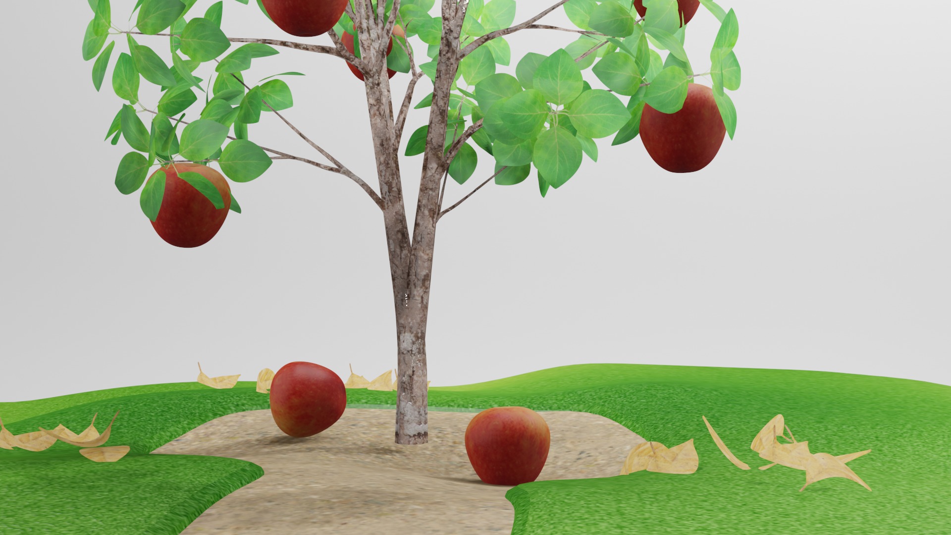 Apple Tree 3D model_3
