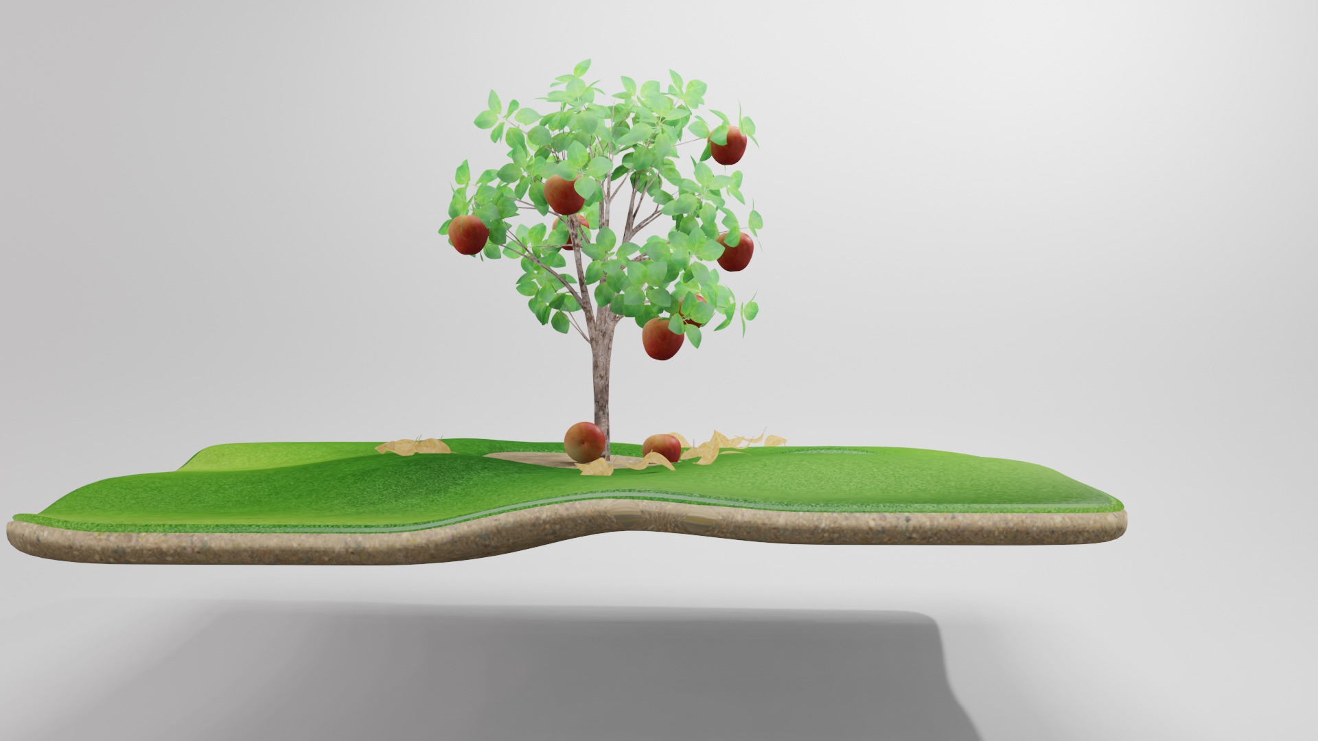 Apple Tree 3D model_1