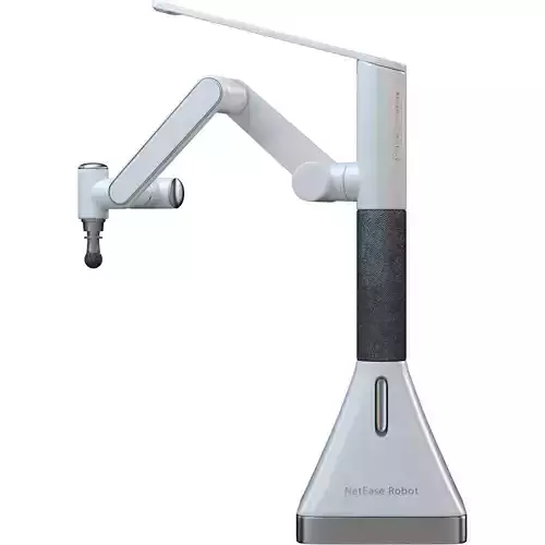 NetEase Massage Robot 3D model