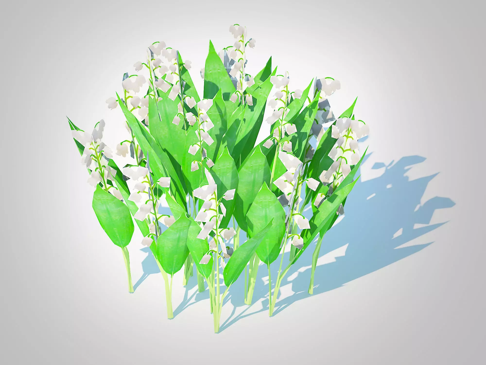 Plant Convallaria majalis - Lily of the Valley Low-poly 3D model