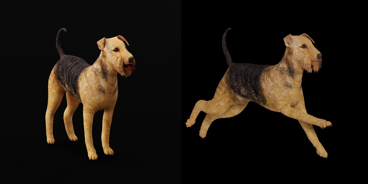 Airedale Terrier Dog Low-poly 3D model_37