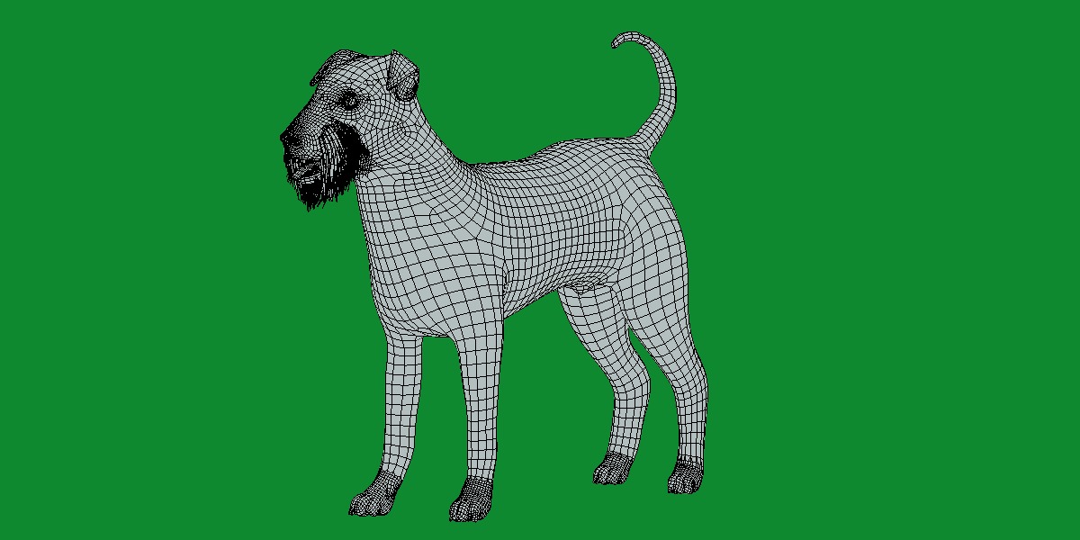 Airedale Terrier Dog Low-poly 3D model_21