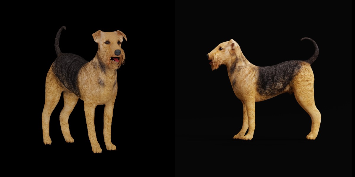 Airedale Terrier Dog Low-poly 3D model_38