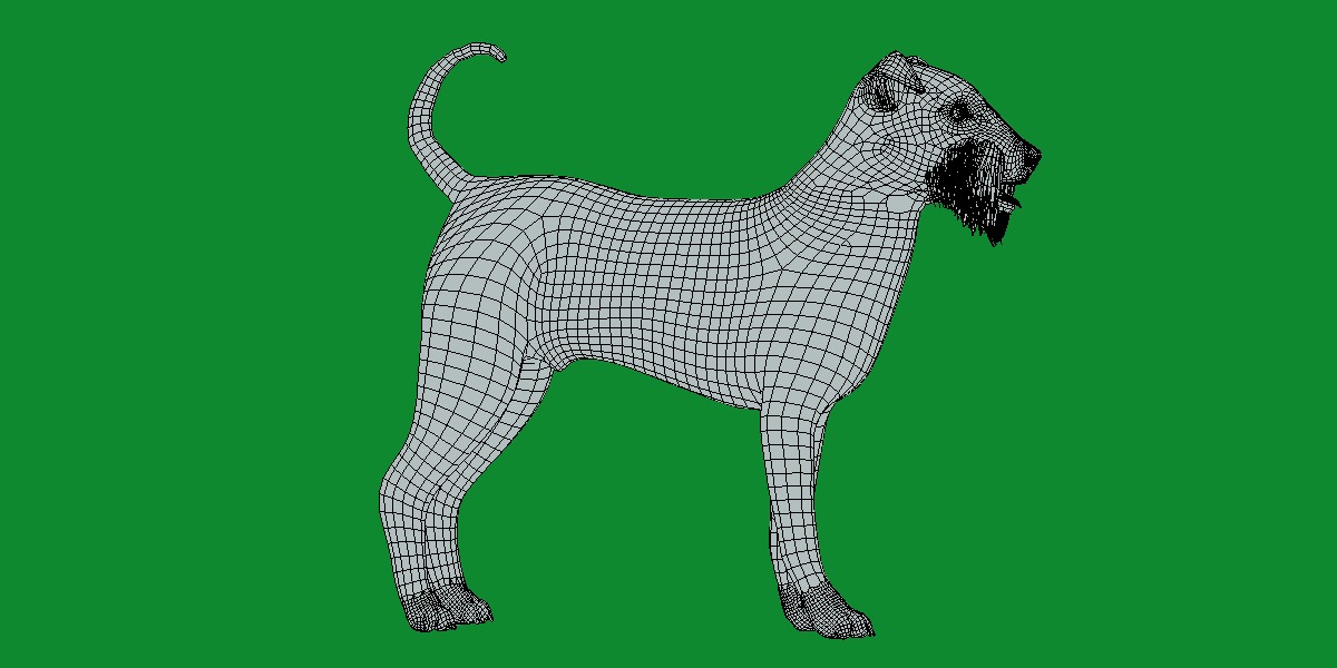 Airedale Terrier Dog Low-poly 3D model_20