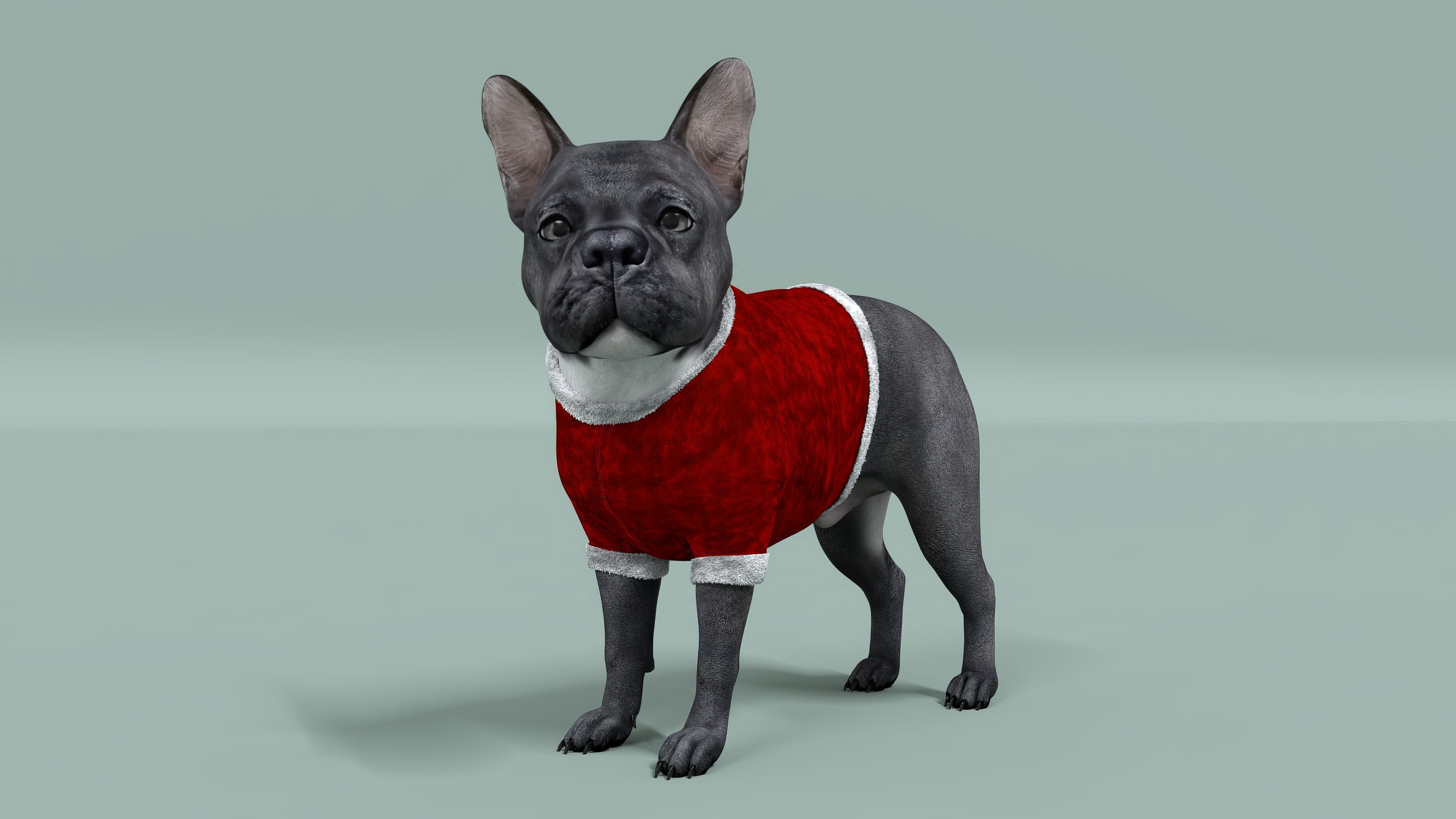 French Bulldog Rigged Animated  Low-poly 3D model_2