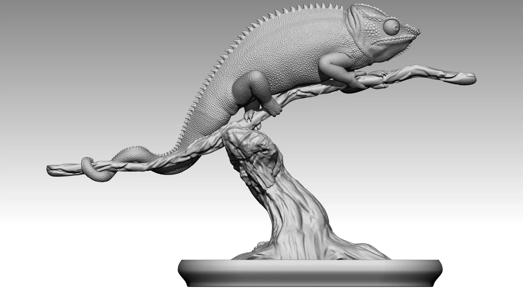 chameleon 3D print model