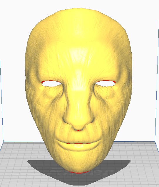 Druid Mask 3D print model_2