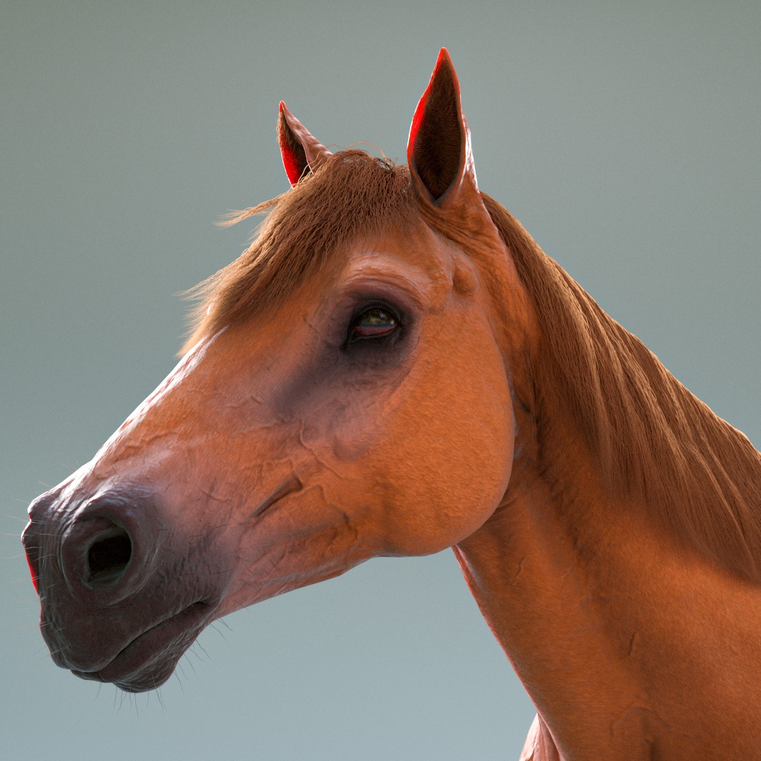Brown Horse Rig Maya Low-poly 3D model_2