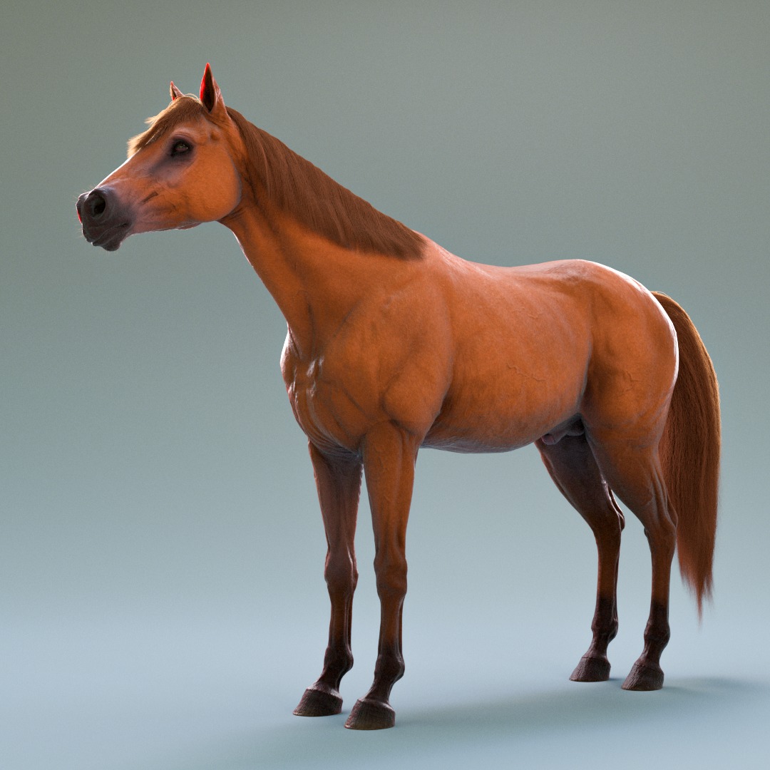 Brown Horse Rig Maya Low-poly 3D model_1