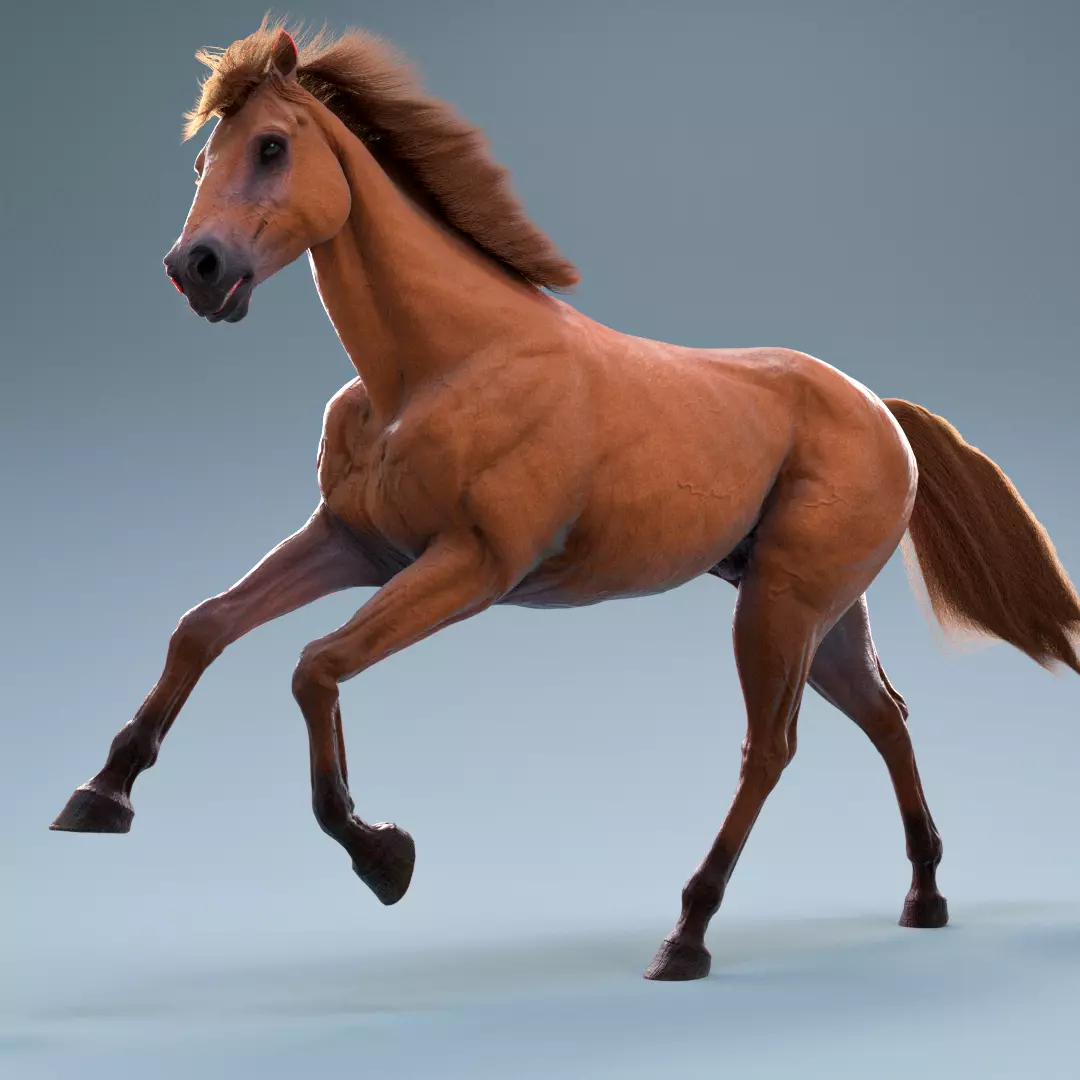 Brown Horse Rig Maya Low-poly 3D model_0