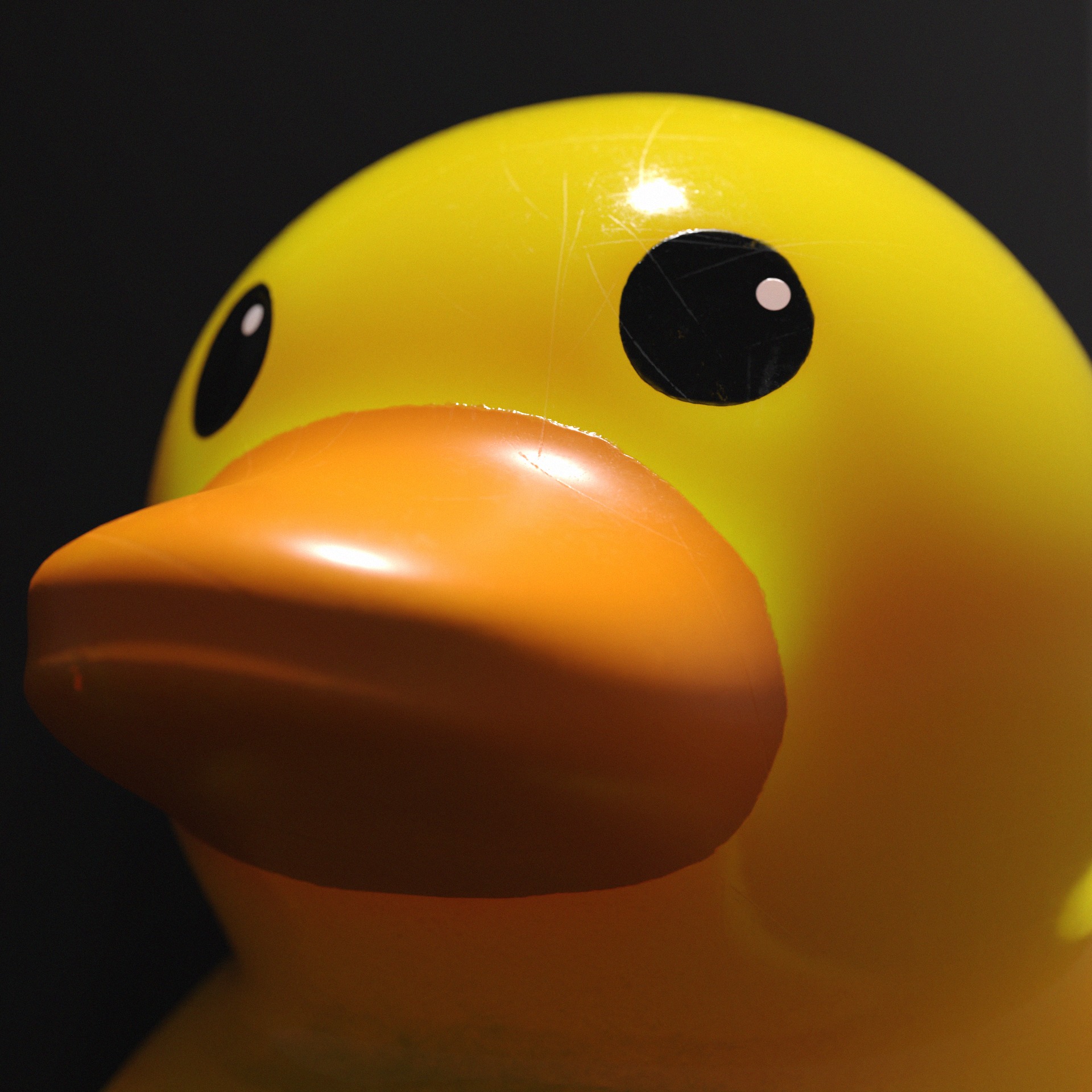 Rubber Duck Low-poly 3D model_4