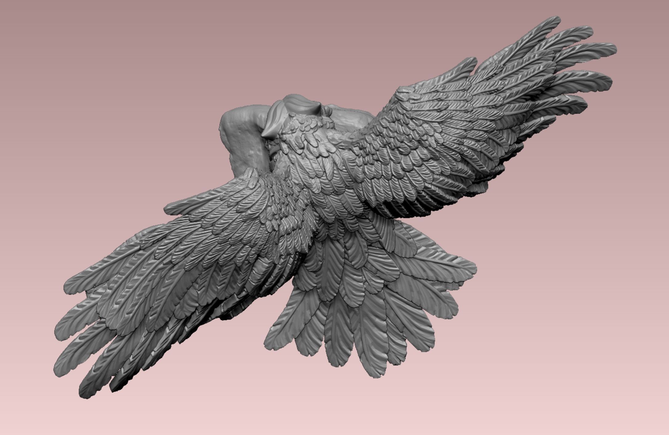 Barn Owl   3D print model_4