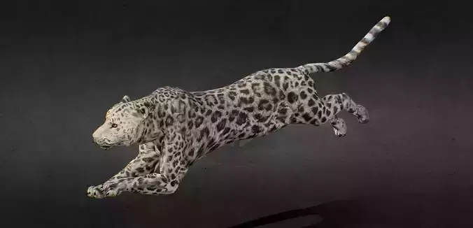Snow Leopard Animted riged