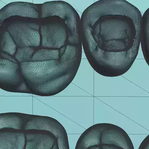 Modelo de treinamento 