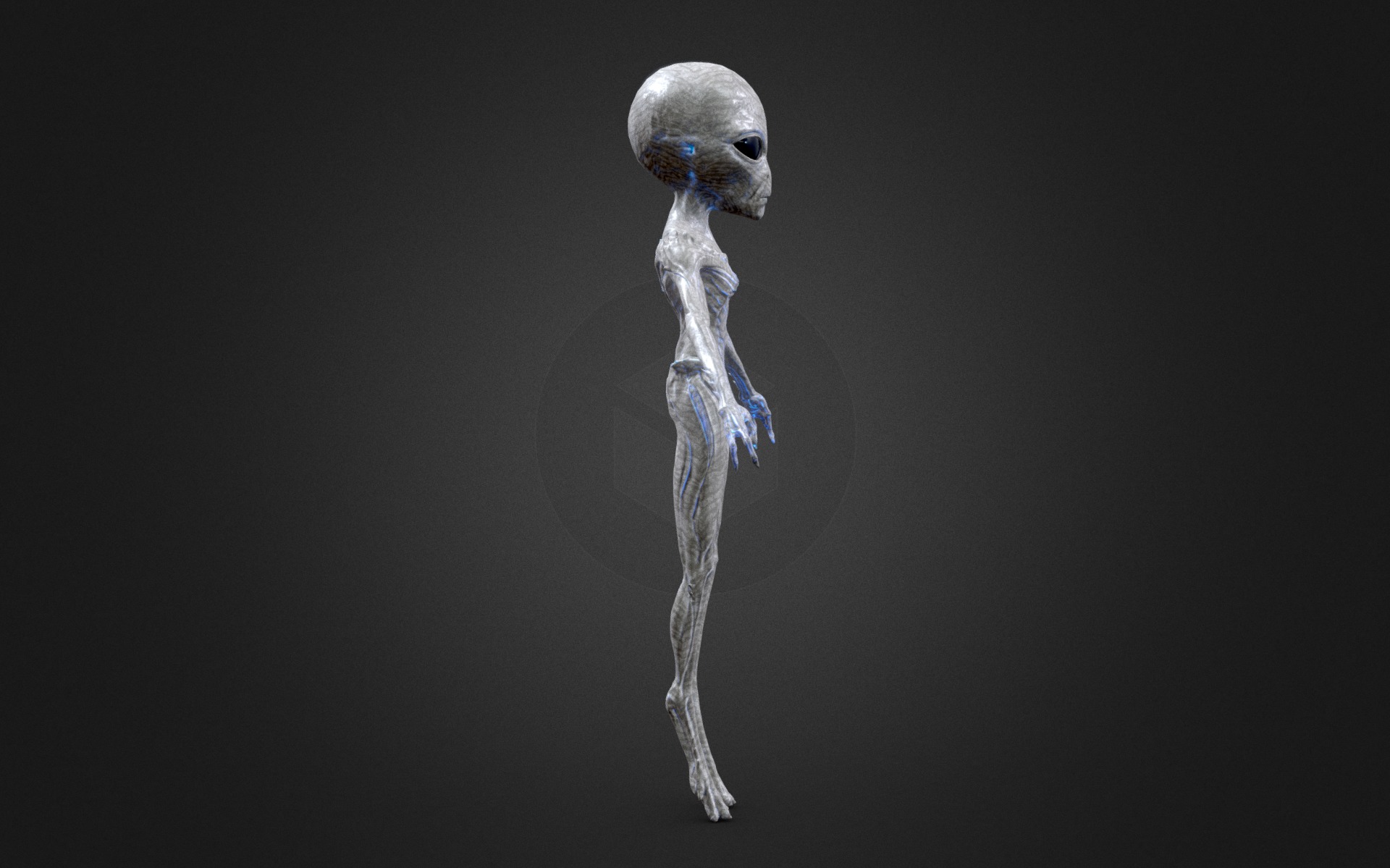 Realistic Alien Gray Low-poly 3D model Low-poly 3D model_3