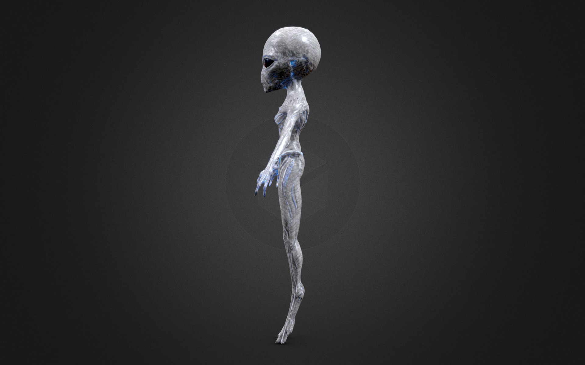 Realistic Alien Gray Low-poly 3D model Low-poly 3D model_6