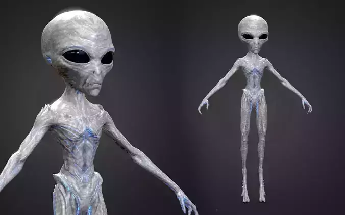 Realistic Alien  Gray Low-poly 3D model