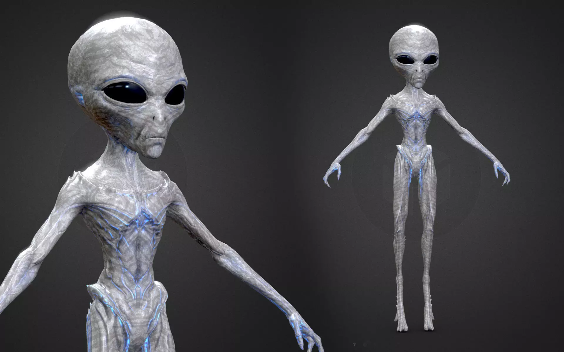 Realistic Alien Gray Low-poly 3D model Low-poly 3D model_0